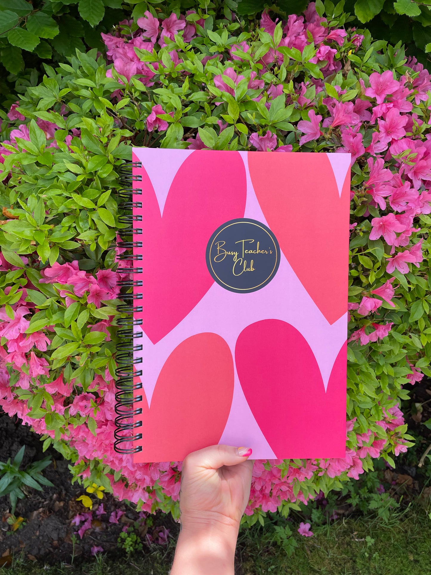 SLIGHTLY MARKED DISCOUNTED PLANNERS