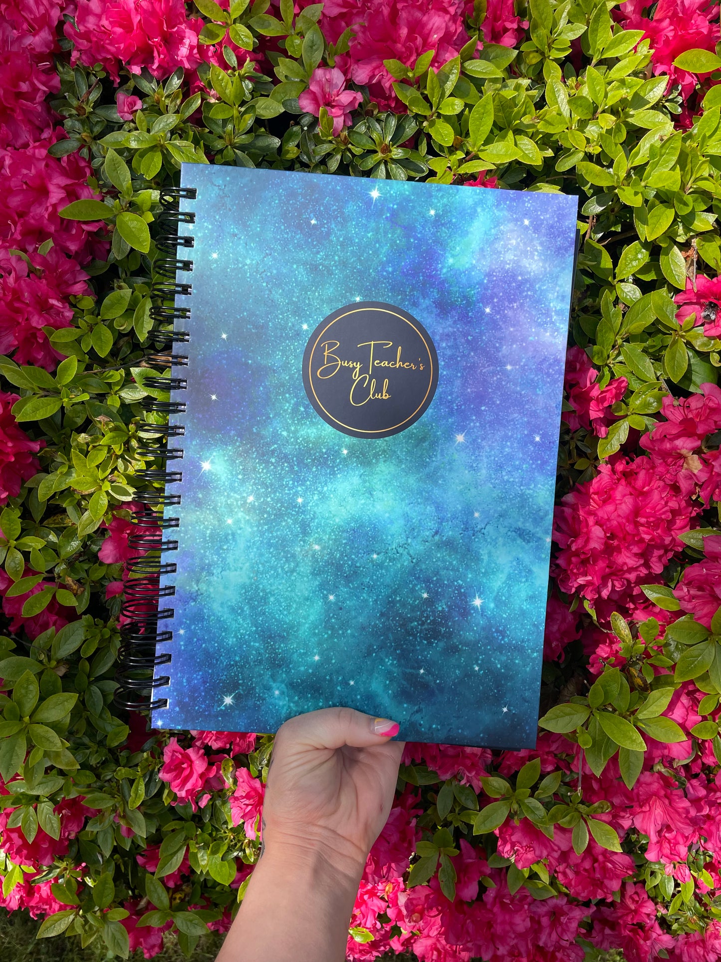 SLIGHTLY MARKED DISCOUNTED PLANNERS